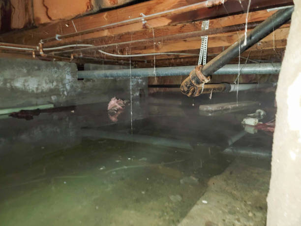Best Water damage restoration services  in Sand Springs, OK