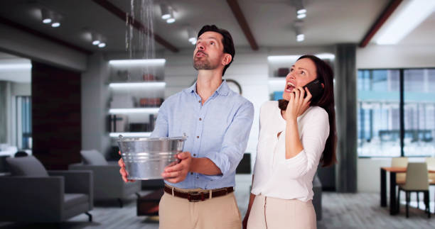 Best Ceiling water damage repair  in Sand Springs, OK